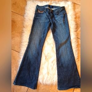 Vigoss 'Starrett' Premium Denim Jeans - Fit and Flare - Size 9/10 x 31" Long